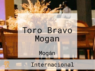 Toro Bravo Mogan