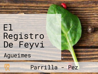 El Registro De Feyvi