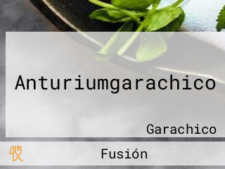 Anturiumgarachico