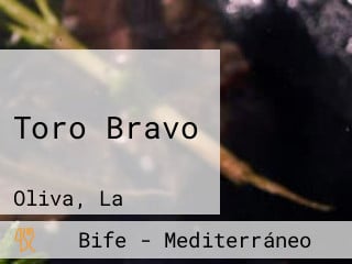 Toro Bravo