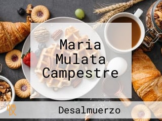 Maria Mulata Campestre