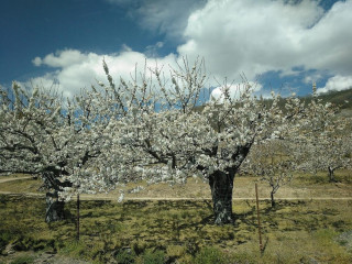 Finca Vadillo