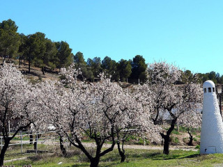 Mesón Rural Tio Tobas