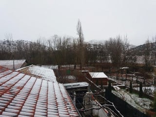 El Chico Del Aquilino