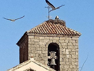 El Pilon Tlf 925878079