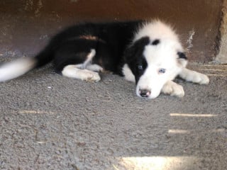 Bar Restaurante Amorrortu