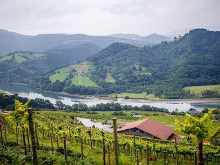 Bodega Katxiña Txakolina