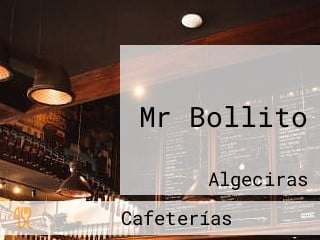 Mr Bollito