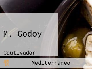 M. Godoy