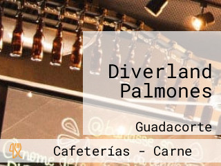 Diverland Palmones
