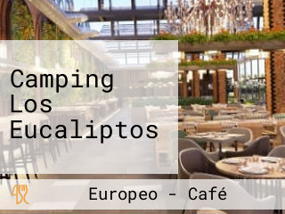 Camping Los Eucaliptos