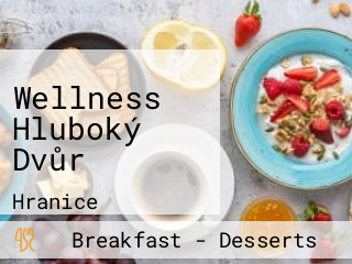 Wellness Hluboký Dvůr