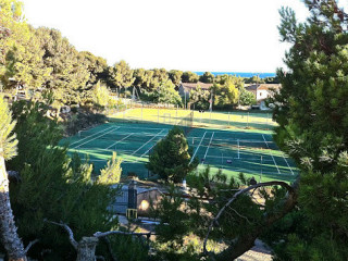 Revoltosa Plaza Del Rey