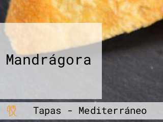 Mandrágora
