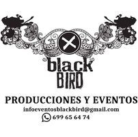Black Bird Culture I Music Club