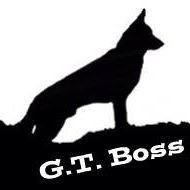 Gt Boss