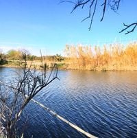 El Clot De La Mare De Deu