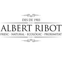 Albert Ribot