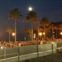 Cafe Paradise@playa Del Albir