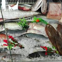 RincÓn De Pescadores