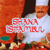 Doner Kebab Shana Istambul