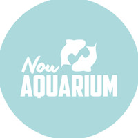 Nou Aquarium