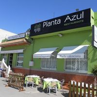 Planta Azul