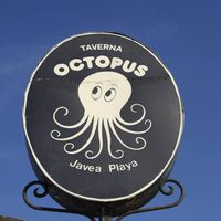 Octopus Javea Arenal